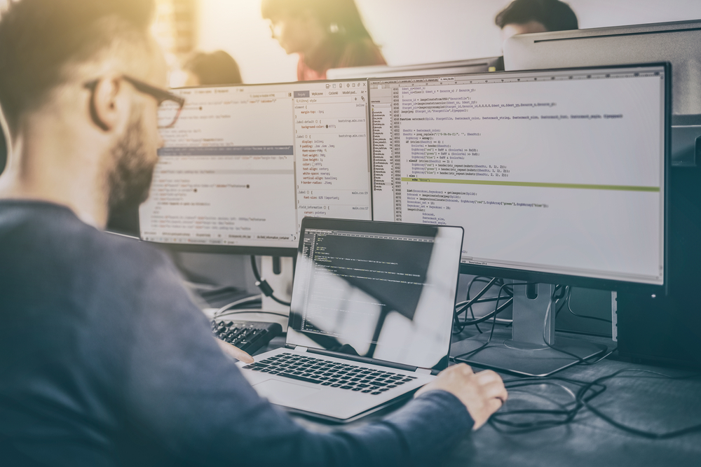 Training Information Systems Audit Part I